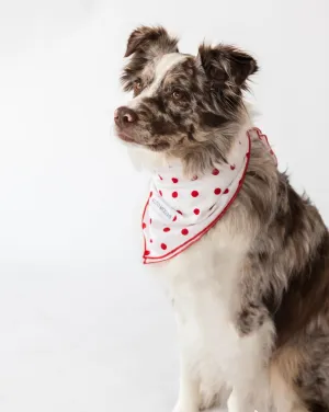 Buddy Seersucker Dots Dog Bandana