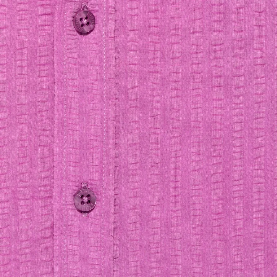 Confuchsia Seersucker Short Sleeve Button Down Shirt