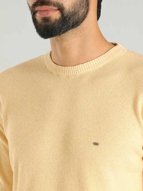 Men Solid Full Sleeve Crew Neck Sweater