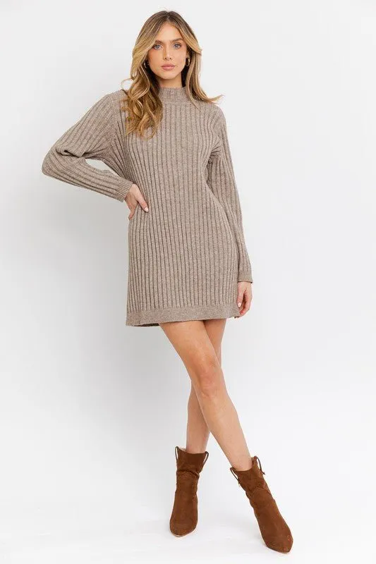Warmth and Style Turtleneck Mini Sweater Dress