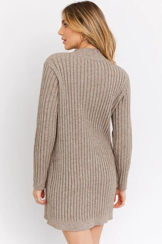 Warmth and Style Turtleneck Mini Sweater Dress