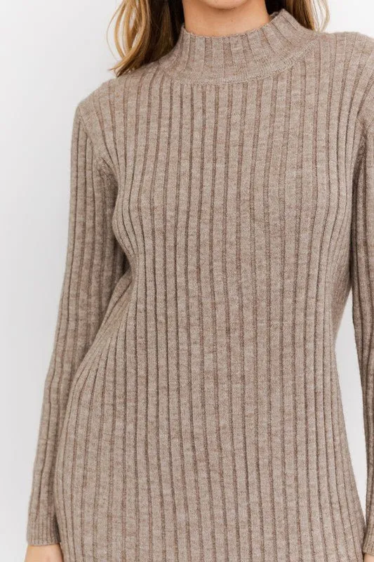 Warmth and Style Turtleneck Mini Sweater Dress